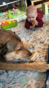 Filename=Leia_and_May_Best_Buds.jpg
Filesize=176KiB
Dimensions=1080x1920
Date added=Oct 09, 2024 Leia_and_May_Best_Buds.jpg