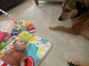 Filename=May_Hanging_with_Pups.jpg
Filesize=481KiB
Dimensions=2048x1536
Date added=Jun 11, 2024 May_Hanging_with_Pups.jpg