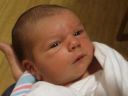 Filename=Nathan_2_days_old.jpg
Filesize=25KiB
Dimensions=640x480
Date added=Jun 10, 2024 Nathan_2_days_old.jpg