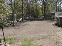 newyard2.jpg